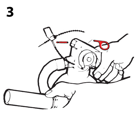 Step 3: Shear it